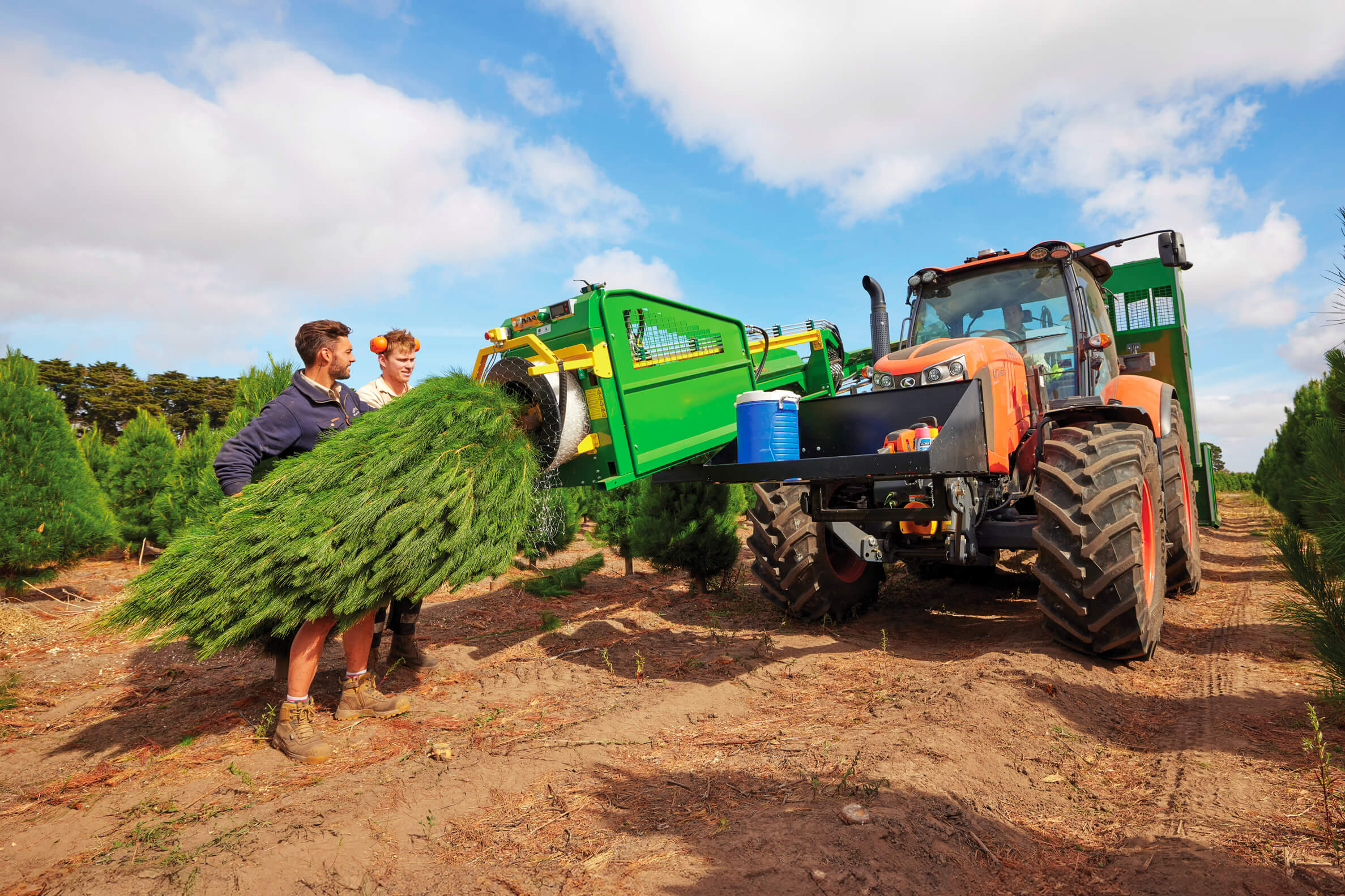 Christmas Tree Farm Story Image1